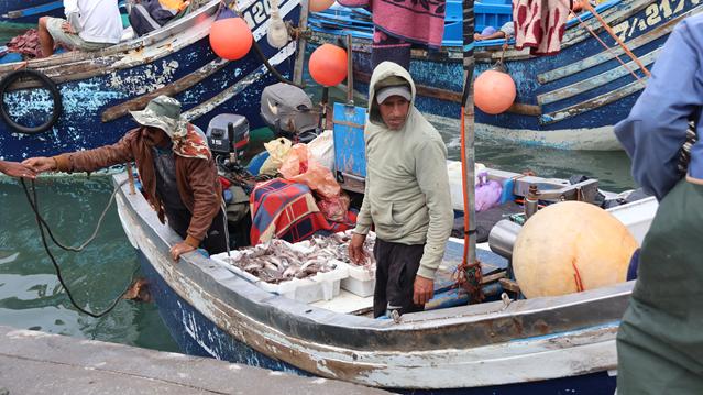 Essaouira - Viele Touristen 7 img essaouira6212 r
