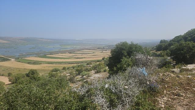 jadida 105002 r