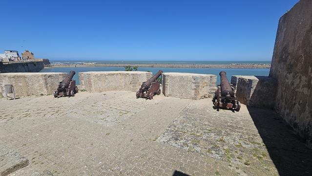 jadida 134711 r