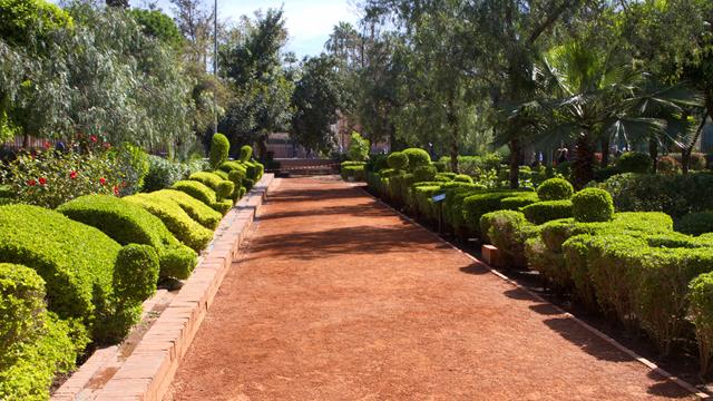 marrakesch img 5501 r