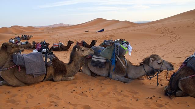 reisetour nach marokko