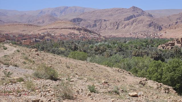 Die Todra Schlucht in Tinghir 4 todra 133953 r