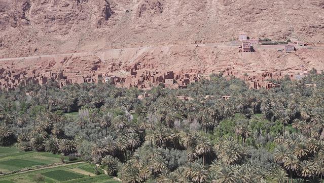 Die Todra Schlucht in Tinghir 6 todra 134808 r