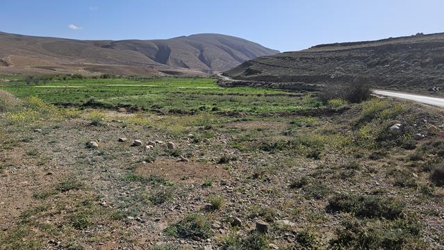 Die Todra Schlucht in Tinghir 17 todra 160904 r