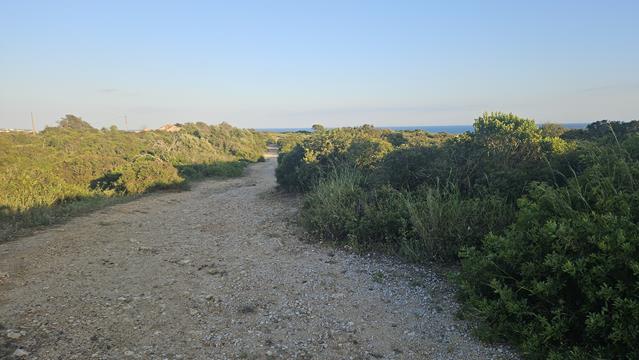 algarve 194509 r