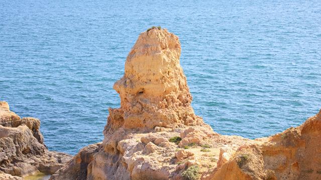 img algarve6878 r