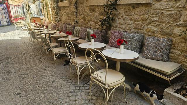 Die Halbinsel Cesme 15 alacati