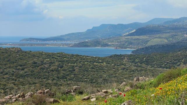 Traumhaftes Assos 8 assos