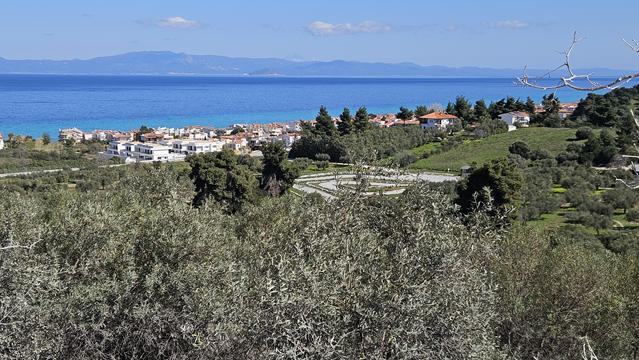 kassandra