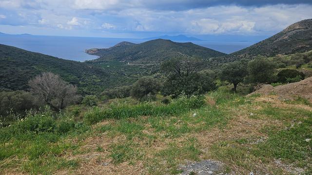 knidos