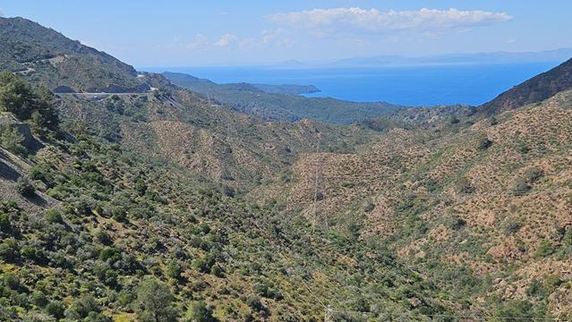knidos