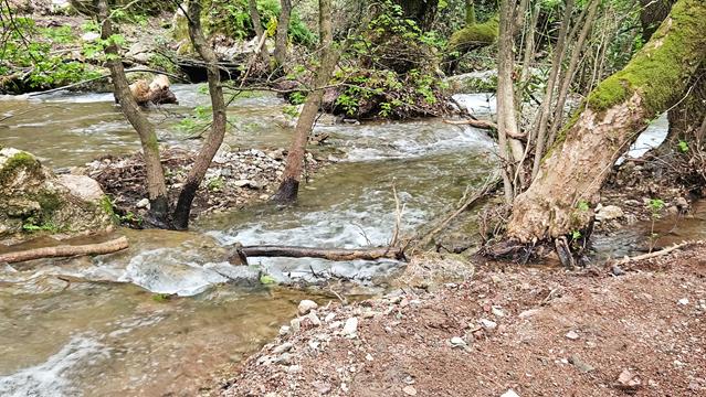 Baden am Turgut 8 turgut