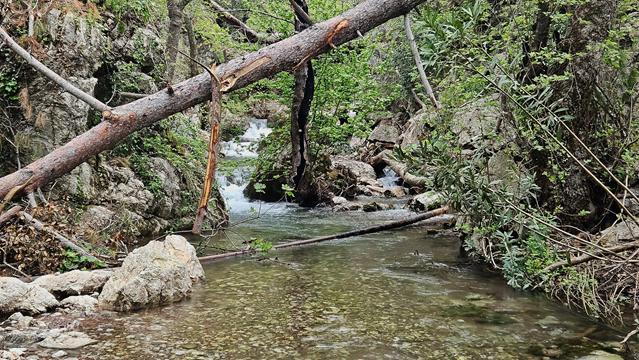 Baden am Turgut 6 turgut