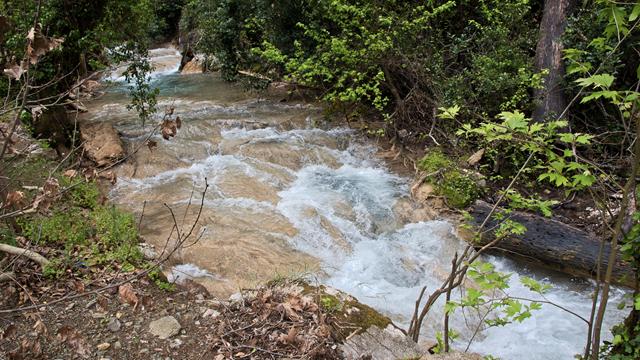 Baden am Turgut 11 turgut
