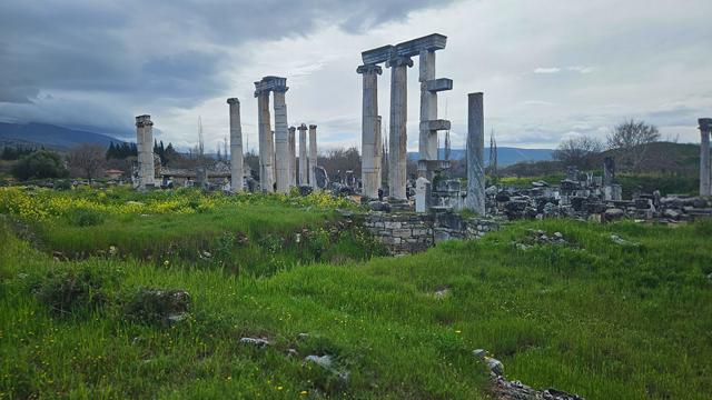 aphrodisias