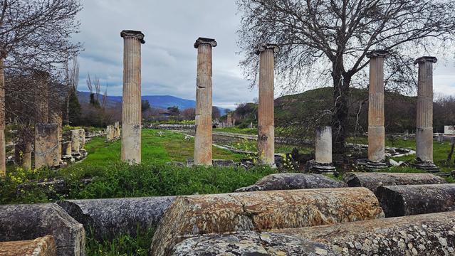 aphrodisias