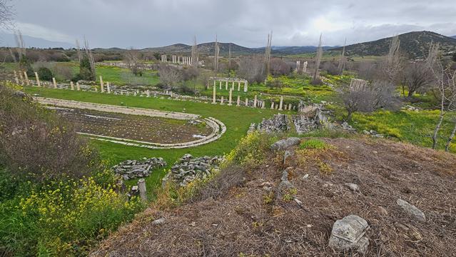 aphrodisias