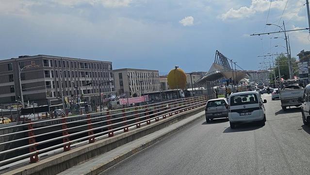 Malatya Aprikose
