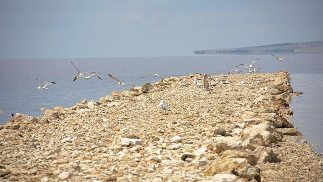 img 9358 r
